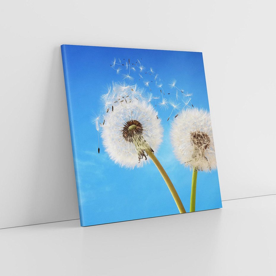 Obraz na płótnie 60x60 - wiatr pełen marzeń - dmuchawce, wiatr