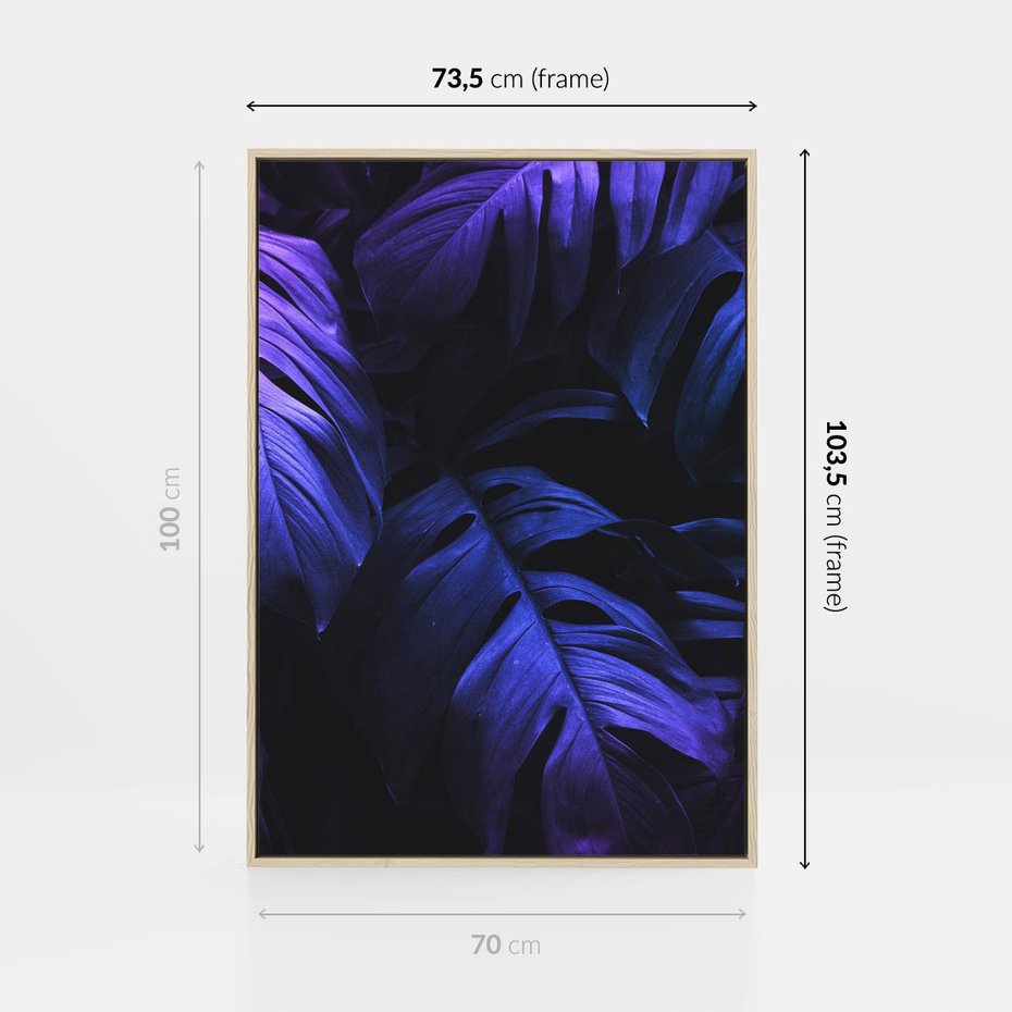 Obraz w ramie 70x100 - Mroczna Magia Dżungli - mroczna grafika, fioletowe liście monstery na czarnym tle - rama drewno