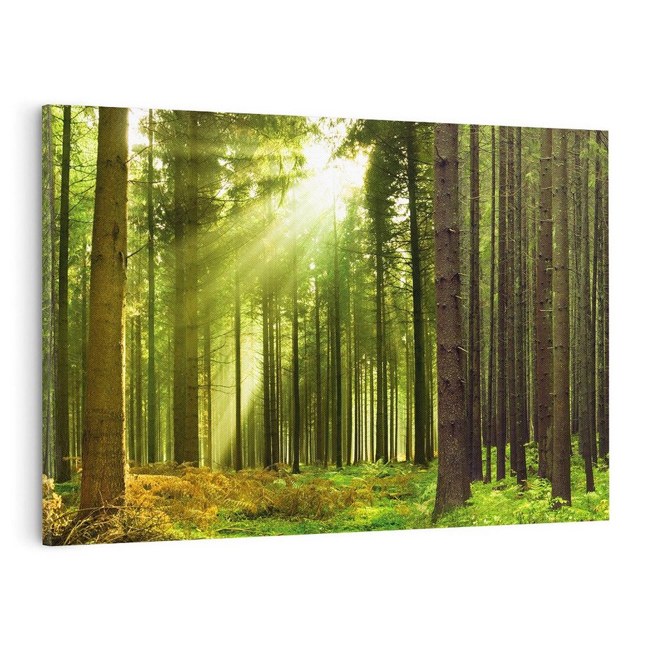Obraz na płótnie 120x80 - Spokój wśród drzew: las w odcieniach zieleni - las, drzewa