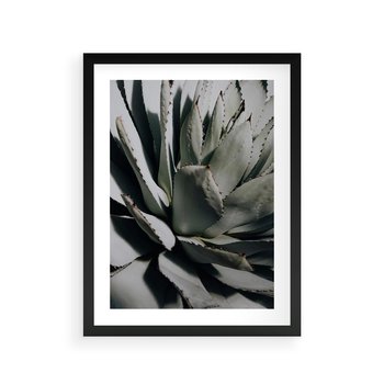 Plakat w ramie 30x40 - Egzotyczny Raj - sukulenty, kaktusy - rama czarna