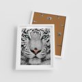 Plakat w ramie 40x50 - Magia Białego Tygrysa - biały, tygrys - rama biała