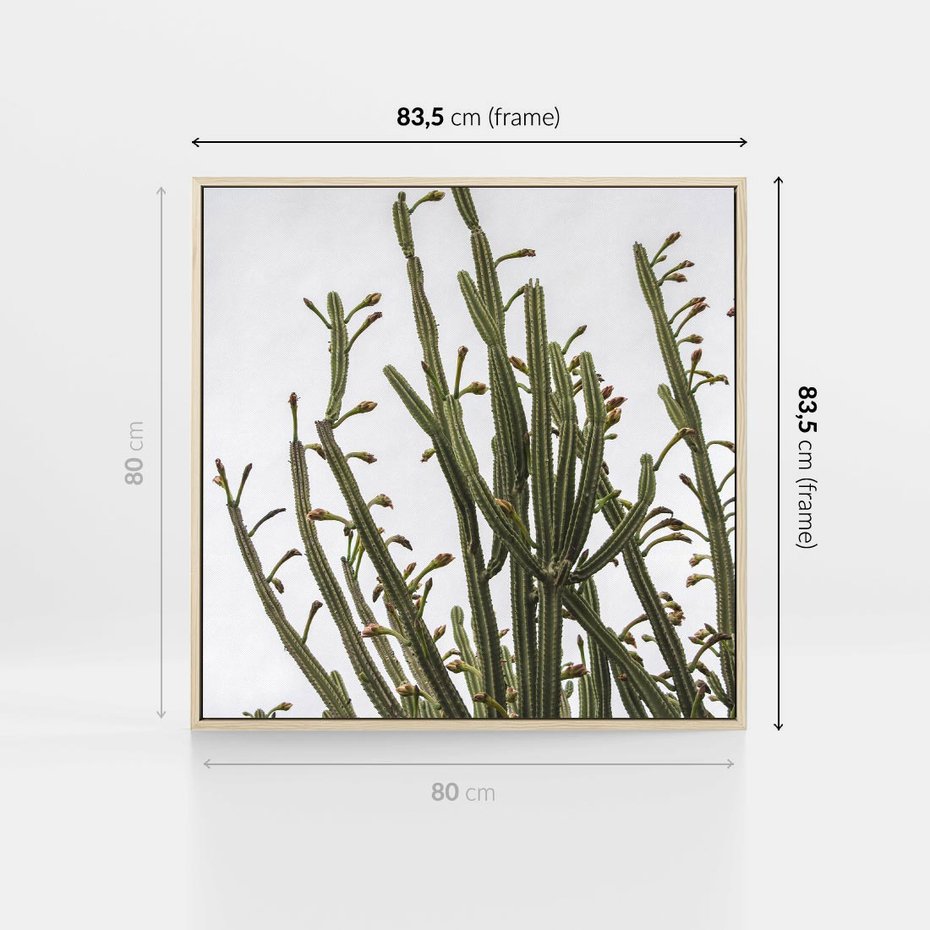 Obraz w ramie 80x80 - Ekskluzywna Roślinność - kaktusy, liście - rama drewno