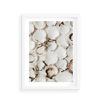 Plakat w ramie 50x70 - Białe Muszle - białe muszle, ujęcie z góry - rama biała