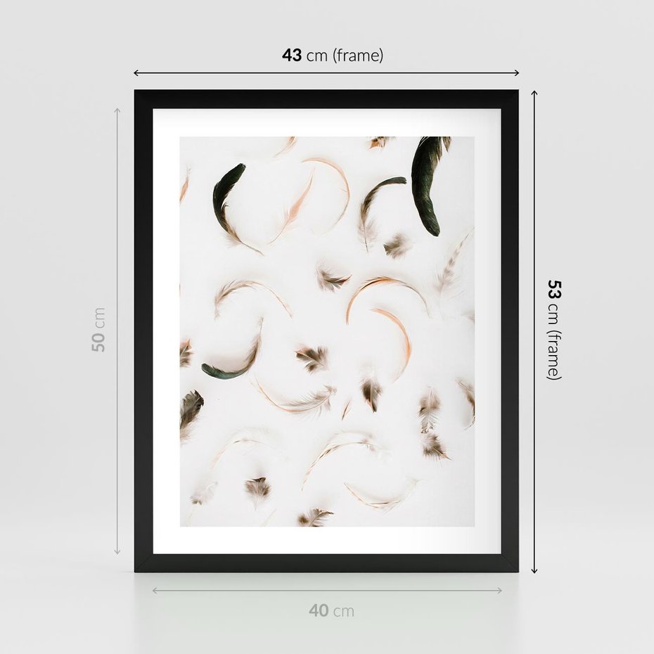 Plakat w ramie 40x50 - Kompozycja z Piór - pióra, kompozycja - rama czarna