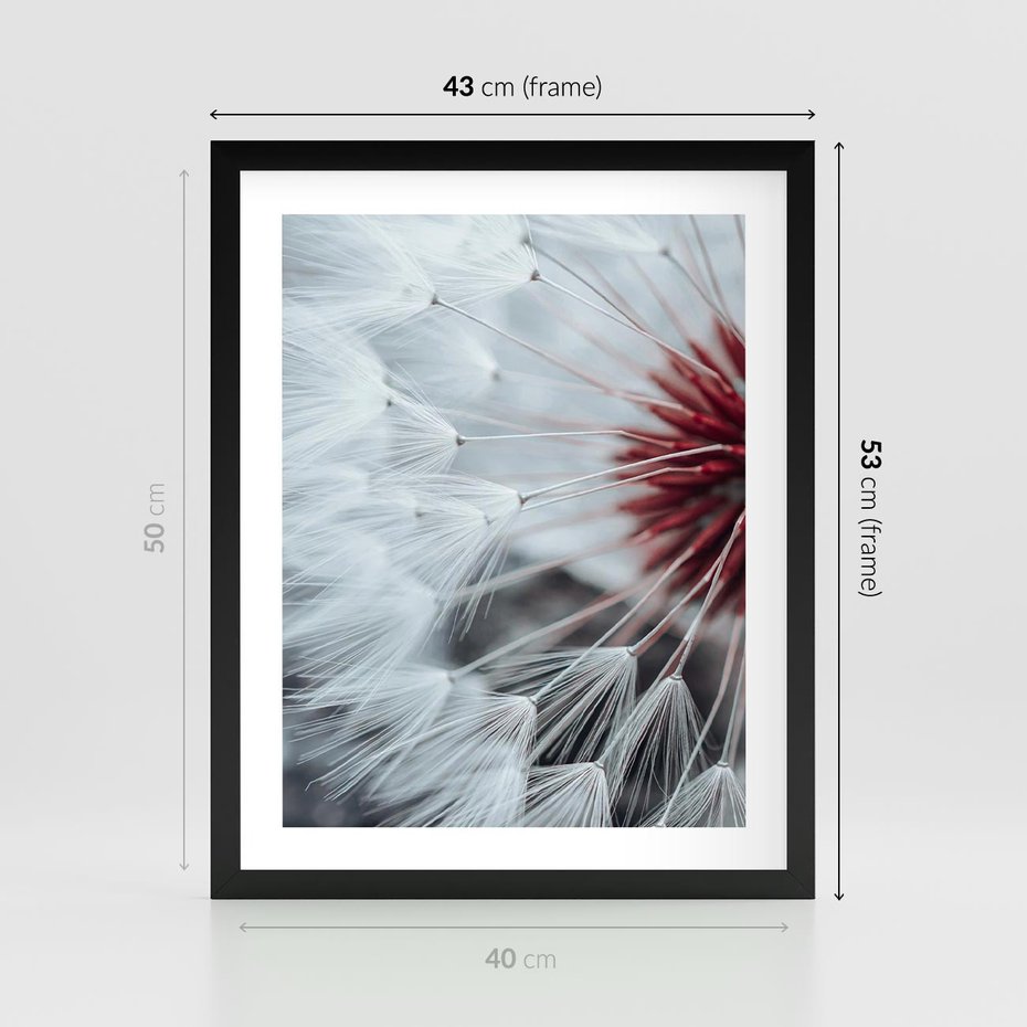 Plakat w ramie 40x50 - Makro Magii Natury - dmuchawiec, zbliżenie makro - rama czarna