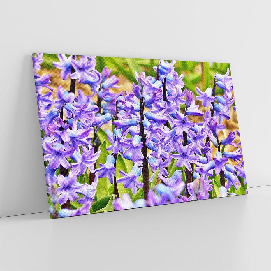 Obraz na płótnie 120x80 - Kwiatowy wibrant piękno natury - kwiat, kwiaty