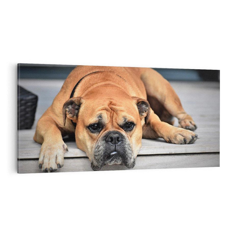 Obraz na płótnie 100x50 - Wernisaż piesek i zwierzaki - pies, piesek