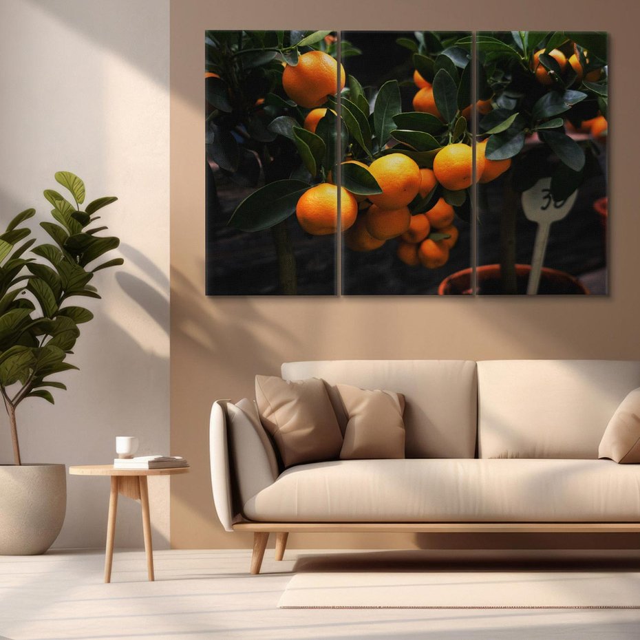 Obraz na płótnie 120x80 - Mandarynki Drzewko Urodzaju - mandarynki, drzewko