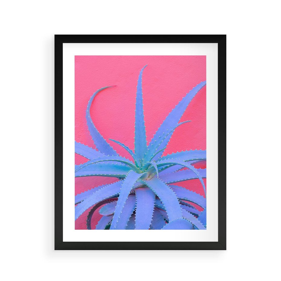Plakat w ramie 40x50 - Piękno Pustyni - kaktusy, liście - rama czarna