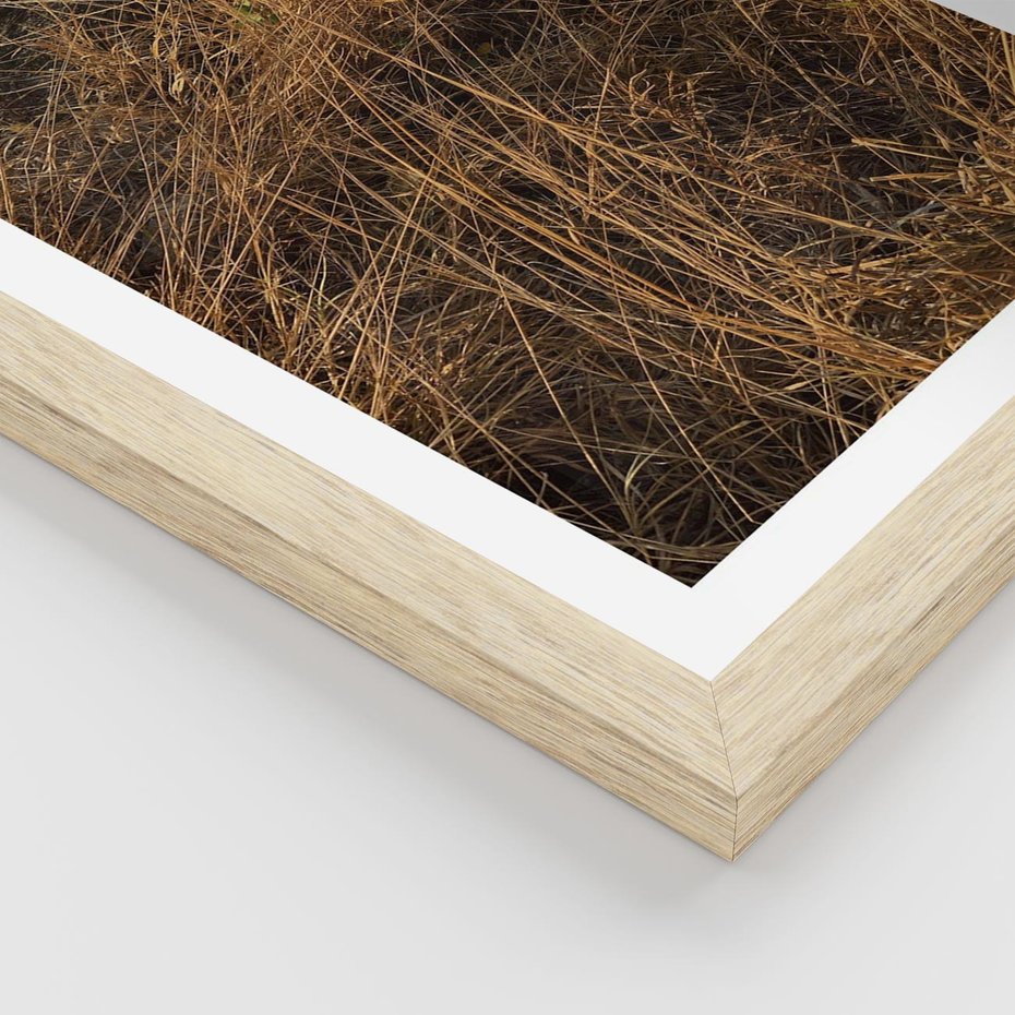 Plakat w ramie 40x50 - Szlachetna Suchość Traw - trawy, suche trawy - rama drewno