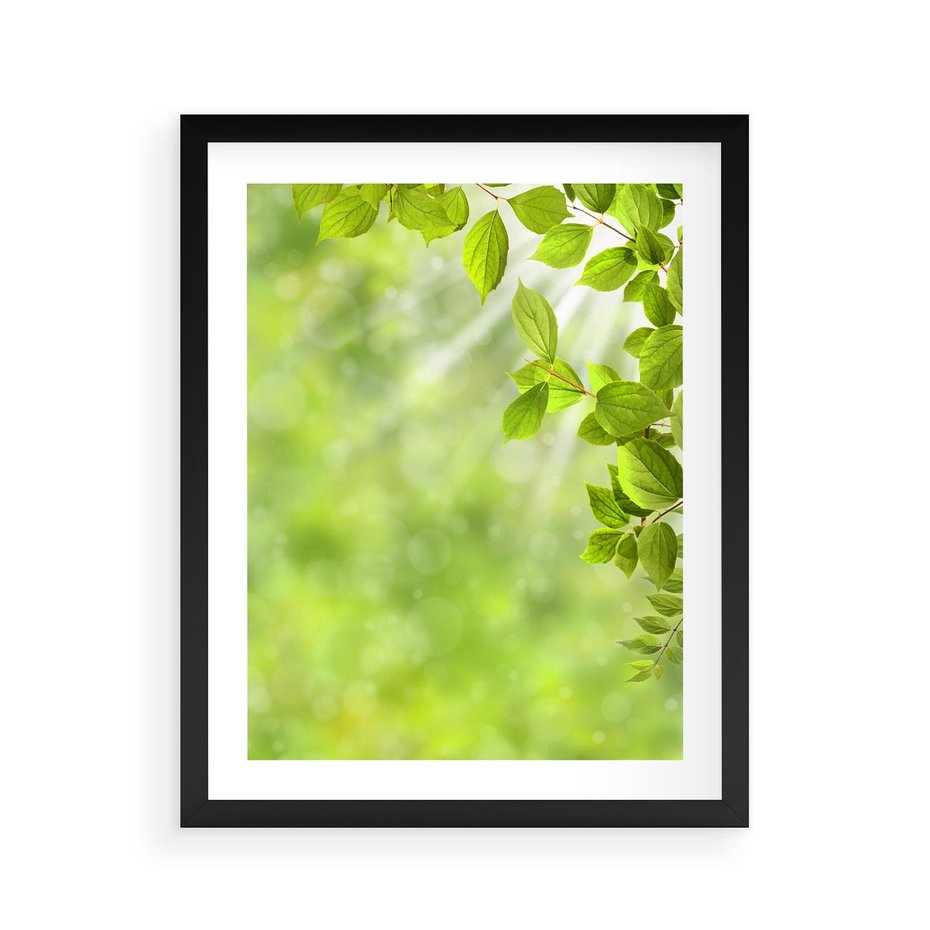 Plakat w ramie 40x50 - Zielone liście natury - liści, zieleń - rama czarna