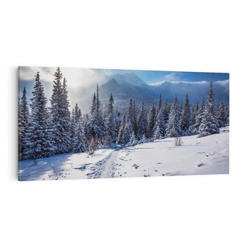 Obraz na płótnie 120x60 - Zimowe góry w lesie - góry, zima