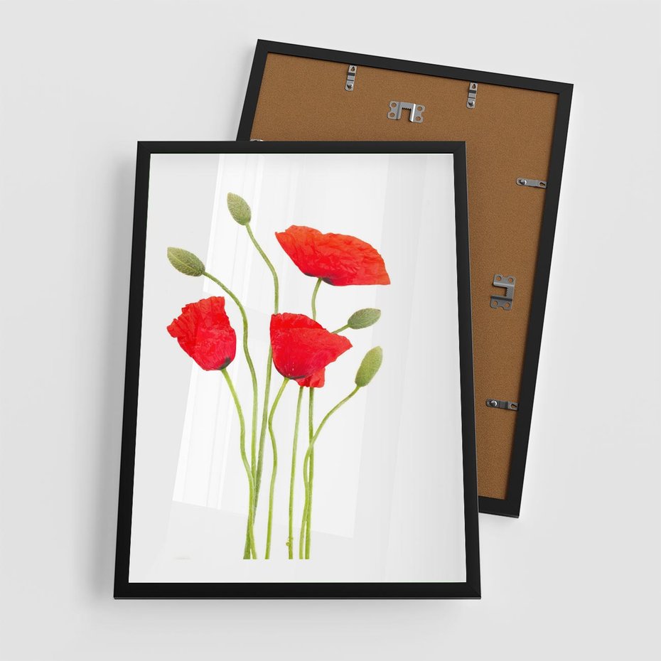 Plakat w ramie 50x70 - Pola maków w pełnym kolorze - maki, kwiaty - rama czarna