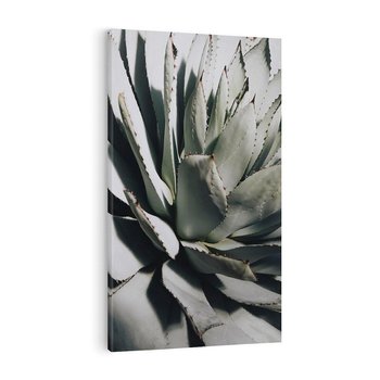 Obraz na płótnie 80x120 - Sukulenty wśród kaktusów - sukulenty, kaktusy