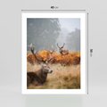 Plakat bez ramy 40x50 - Malownicza Harmonia - jelenie, jesień