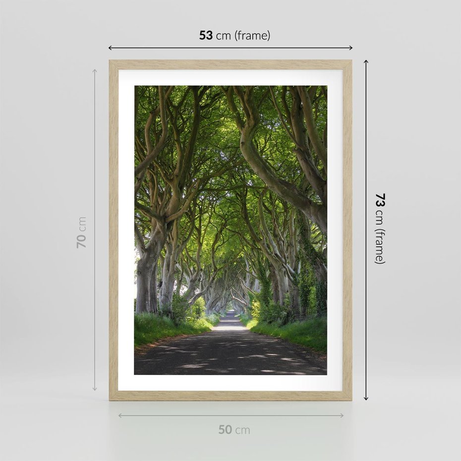 Plakat w ramie 50x70 - Magiczny Las - drzewa, las - rama drewno