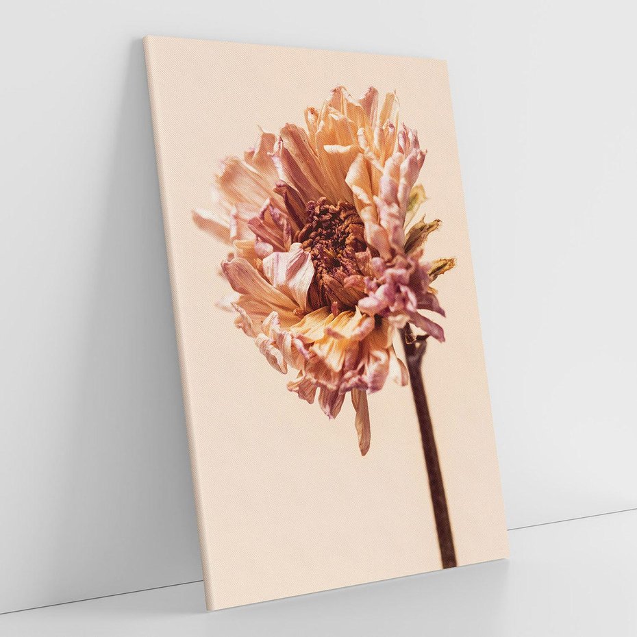 Obraz na płótnie 70x100 - Delikatne piękno - suche, kwiaty