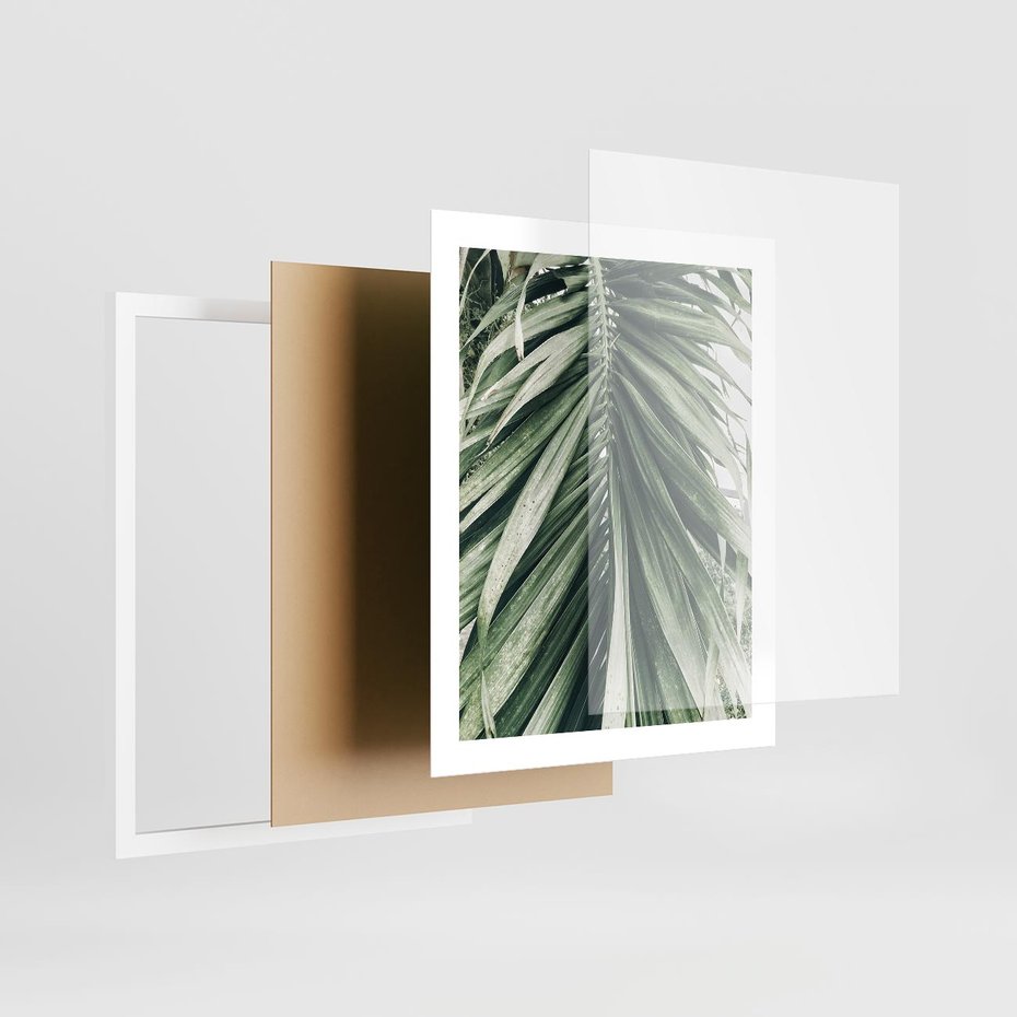 Plakat w ramie 40x50 - Spokojna Piękność Palmowych Liści - palma, liście palmy - rama biała