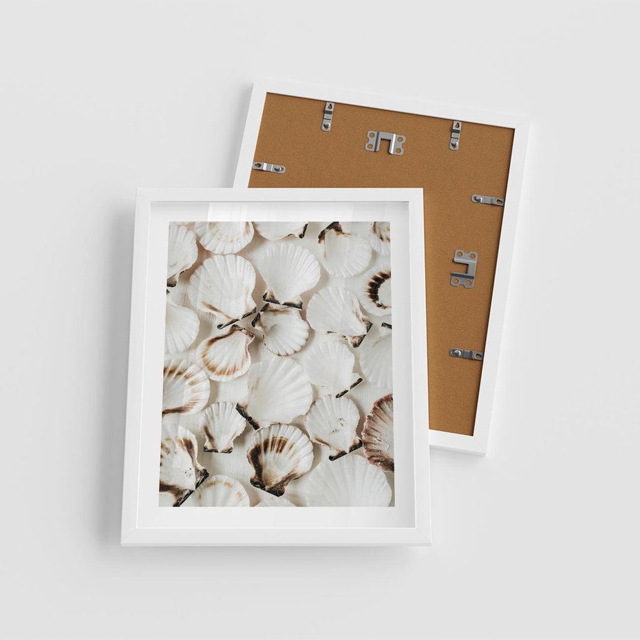 Plakat w ramie 40x50 - Białe Muszle - białe muszle, ujęcie z góry - rama biała