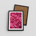 Plakat w ramie 30x40 - Romantyczne róże w pełnym rozkwicie - róże, kwiaty - rama czarna