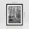 Plakat w ramie 30x40 - Spadające Liście - czarno białe zdjecie, park - rama czarna