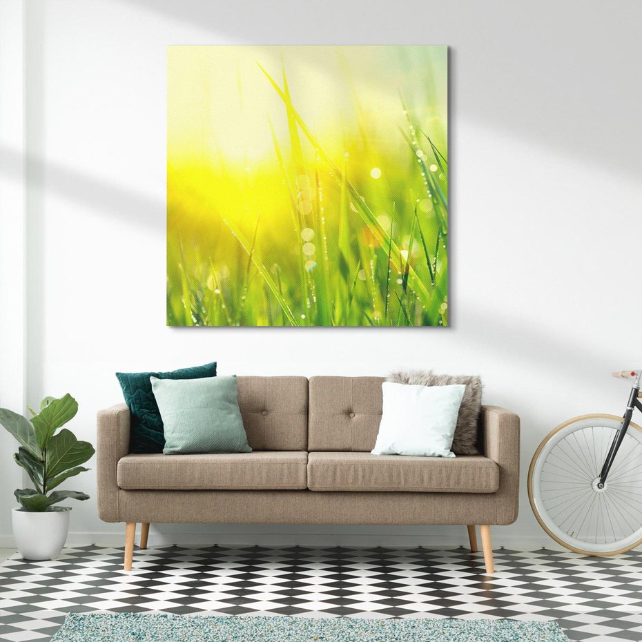 Obraz na płótnie 40x40 - Piękno Poranka - łąka, trawa