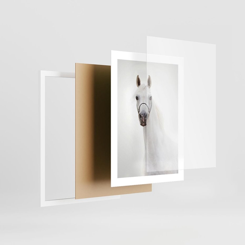 Plakat w ramie 30x40 - Elegancja białego konia - biały, koń - rama biała