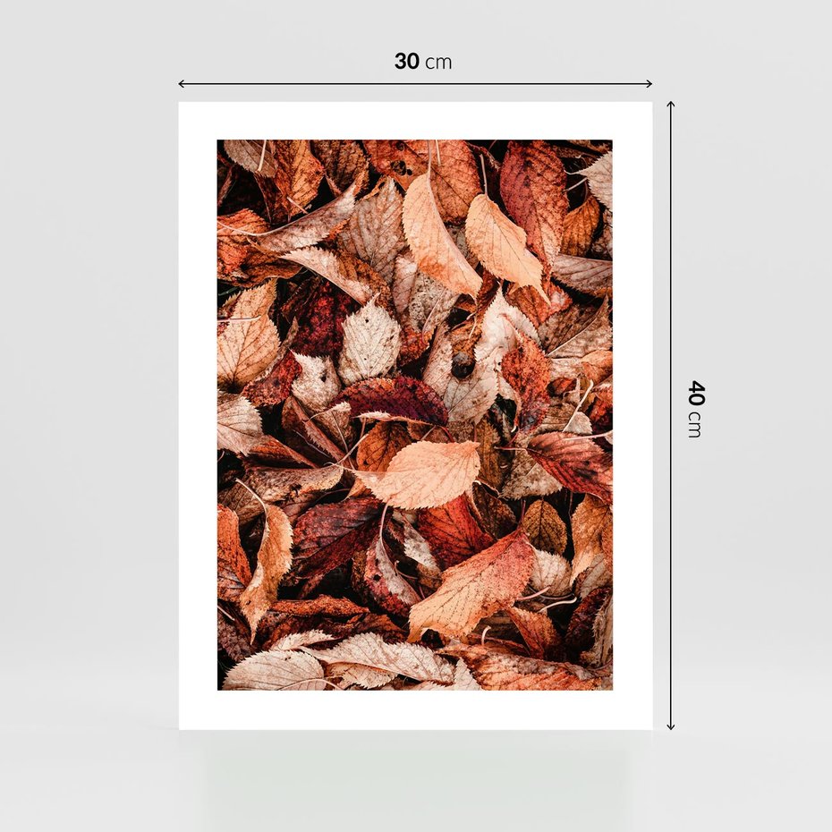 Plakat bez ramy 30x40 - Magia Jesiennej Ziemi - liście, jesień