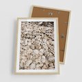 Plakat w ramie 50x70 - Symfonia Natury - kompozycja z białych muszli - rama drewno