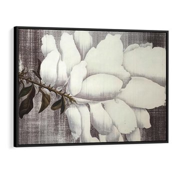 Obraz w ramie 70x50 - Tekstura Kwiatu - białe kwiaty, duży kwiat - rama czarna
