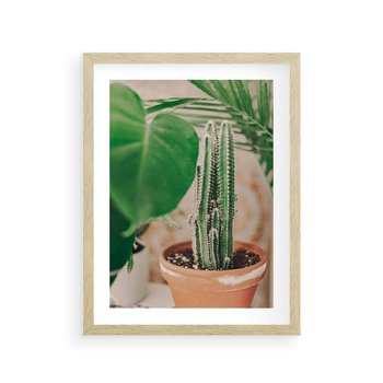 Plakat w ramie 40x50 - Boho Urok - kaktus w doniczce, gliniana doniczka - rama drewno