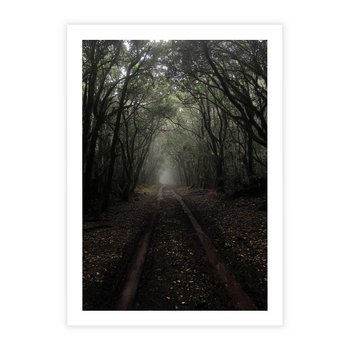 Plakat bez ramy 21x30 - Urok Drogi - las, droga