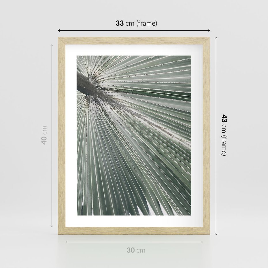 Plakat w ramie 30x40 - Jasnozielony Świat - palma, liść - rama drewno
