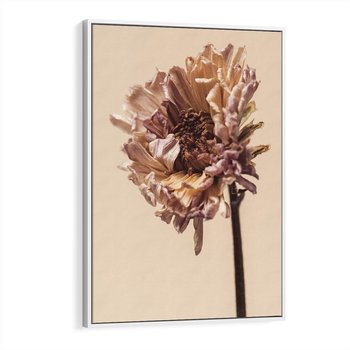 Obraz w ramie 70x100 - Delikatne piękno - suche, kwiaty - rama biała