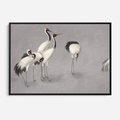 Obraz w ramie 70x50 - Spojrzenie wstecz w pędzlu - szkic rysunek, japońskie żurawie - rama czarna