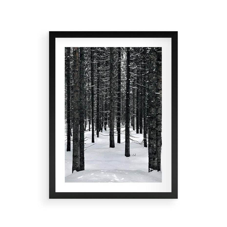 Plakat w ramie 30x40 - Zimowe Drzewa: Śnieg na Pniach - drzew w zimi, pnie drzew - rama czarna