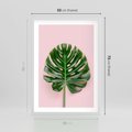 Plakat w ramie 50x70 - Monstera w Różowym Świetle - liść monstery, różowe tło - rama biała