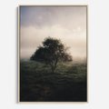 Obraz w ramie 50x70 - Zamglona Prostota - artystyczna fotografia, samotne drzewo na zamglonej łące - rama drewno