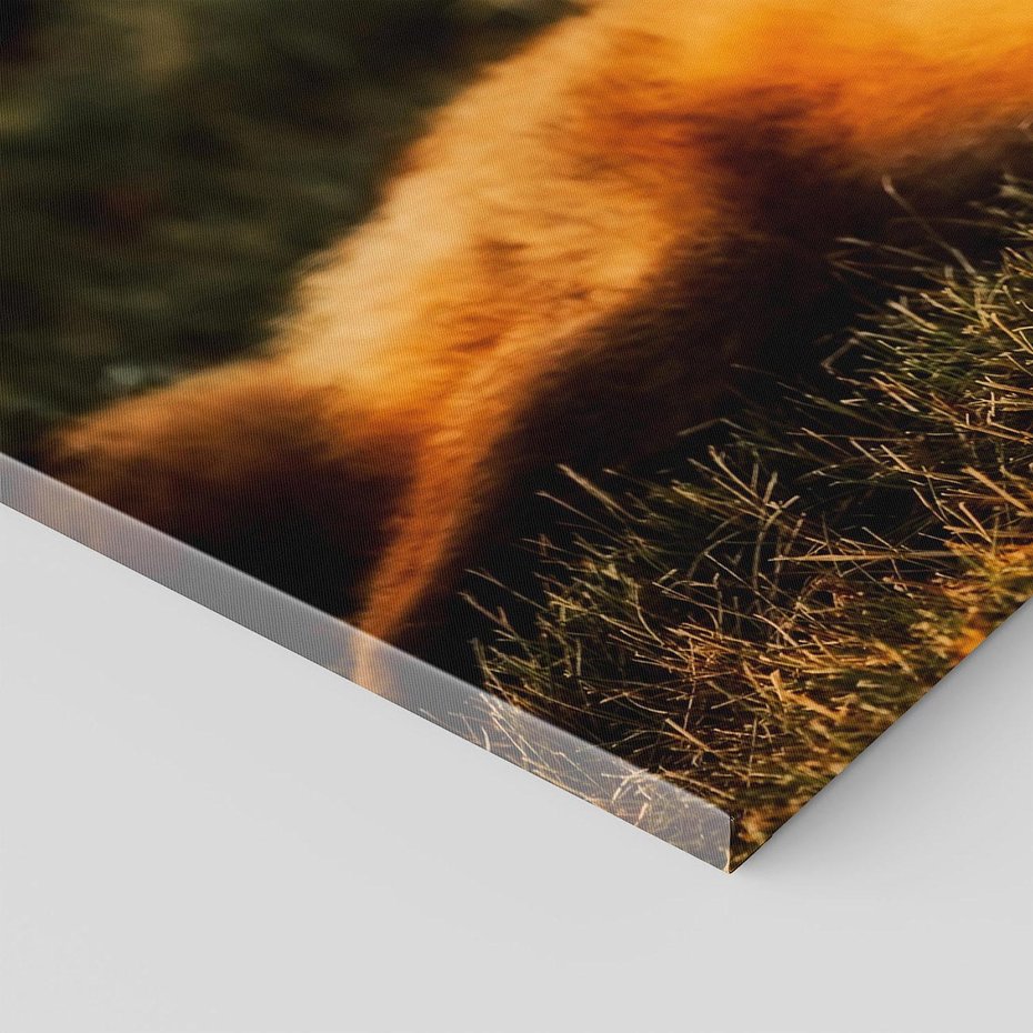 Obraz na płótnie 120x80 - Lisek w lesie - lis, lisek