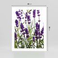 Plakat bez ramy 40x50 - Fioletowa harmonia lawendy - lawenda, fiolet