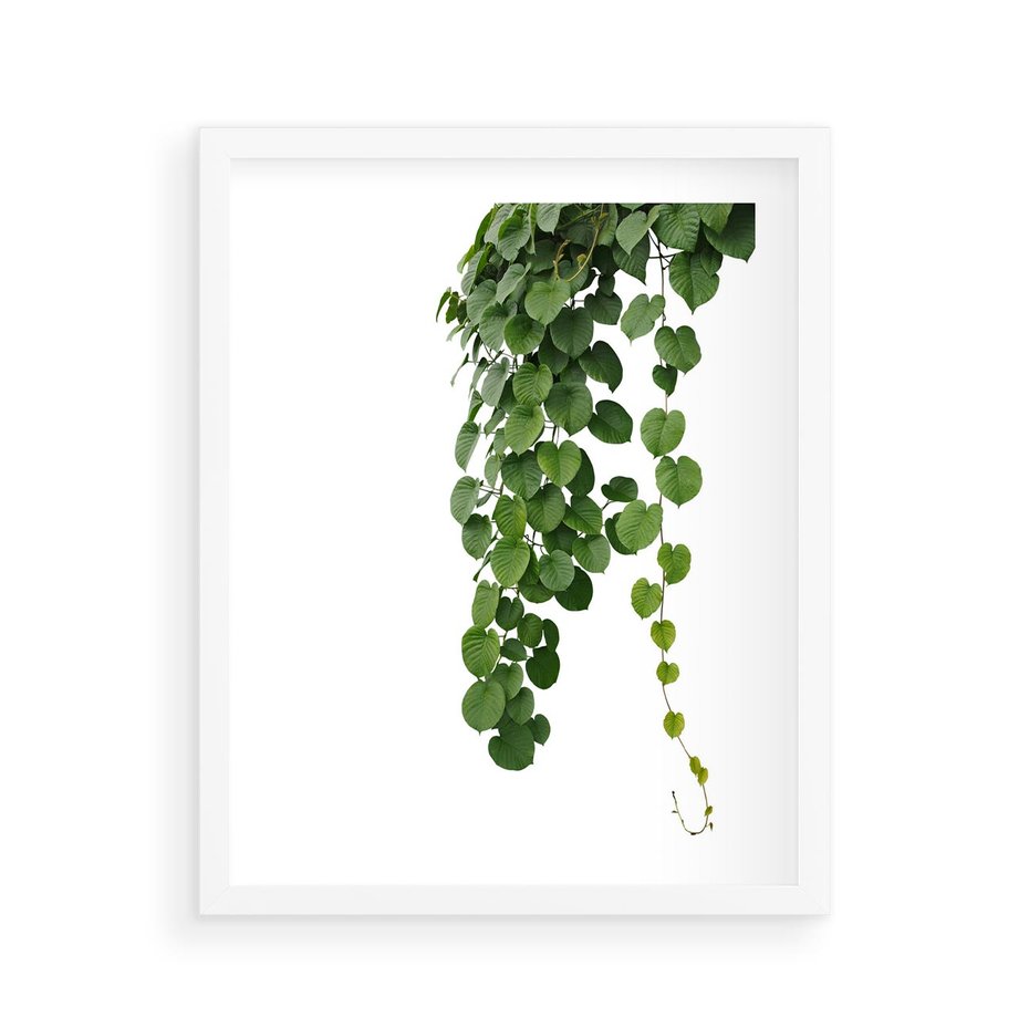 Plakat w ramie 40x50 - Świeżość Natury - liście, zielone - rama biała