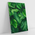 Obraz na płótnie 70x100 - Palma Liście Kwiat - palma, liście
