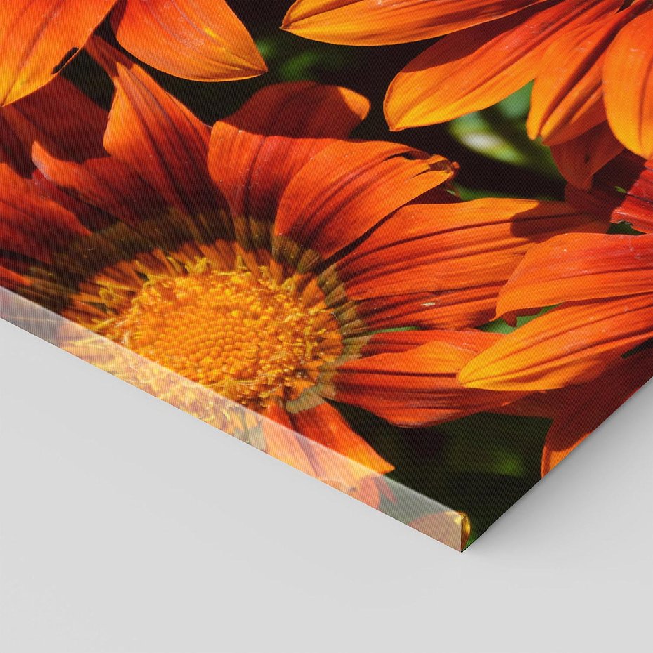 Obraz na płótnie 60x60 - Kwiatowa Esencja - kwiat, kwiaty