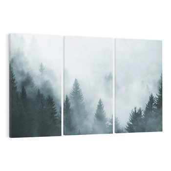 Obraz na płótnie 120x80 - Las w Mgłe - las, we