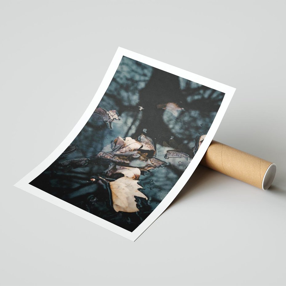 Plakat bez ramy 40x50 - Jesienne Liście w Kałużach: Odbicie Natury - jesienne liście wkałuży, fotografia