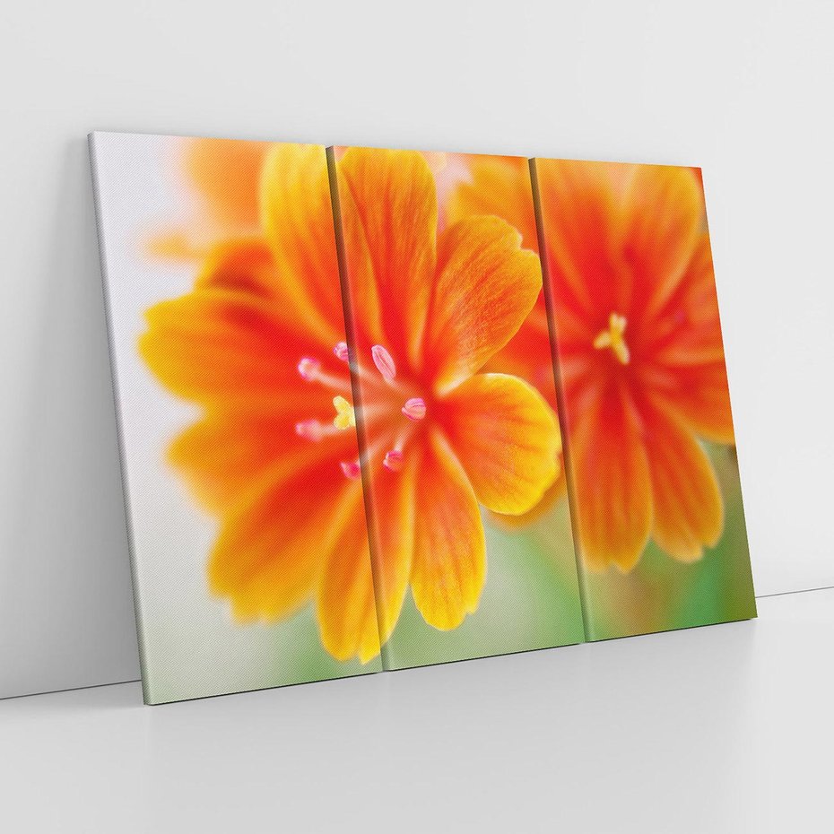 Obraz na płótnie 120x80 - Urok kwiatów - kwiat, kwiaty