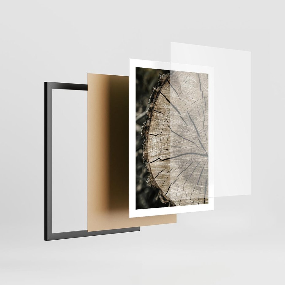 Plakat w ramie 50x70 - Wnętrze Natury - pień, przecięty pień - rama czarna
