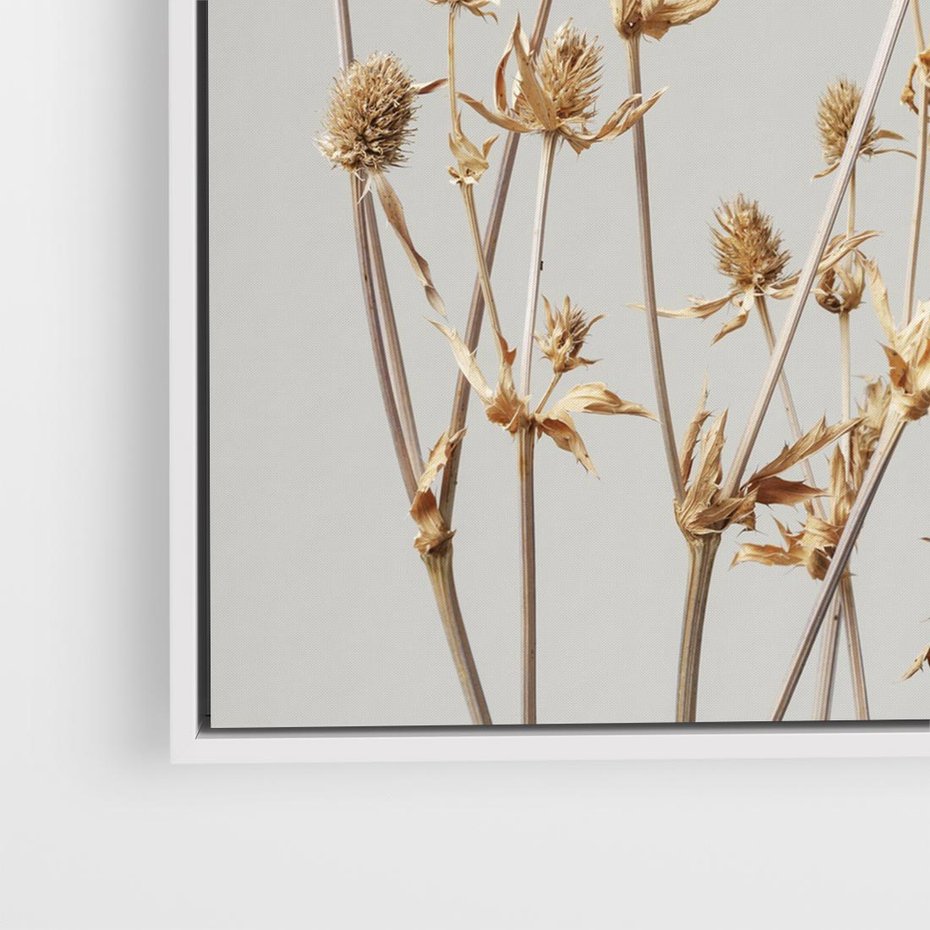 Obraz w ramie 80x80 - Delikatne gipsówki - gipsówka, suche - rama biała