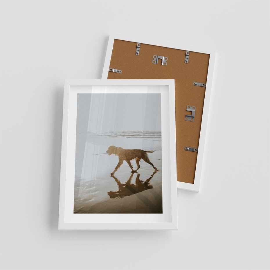 Plakat w ramie 30x40 - Przyjaciel na Plaży - pies, na plaży - rama biała