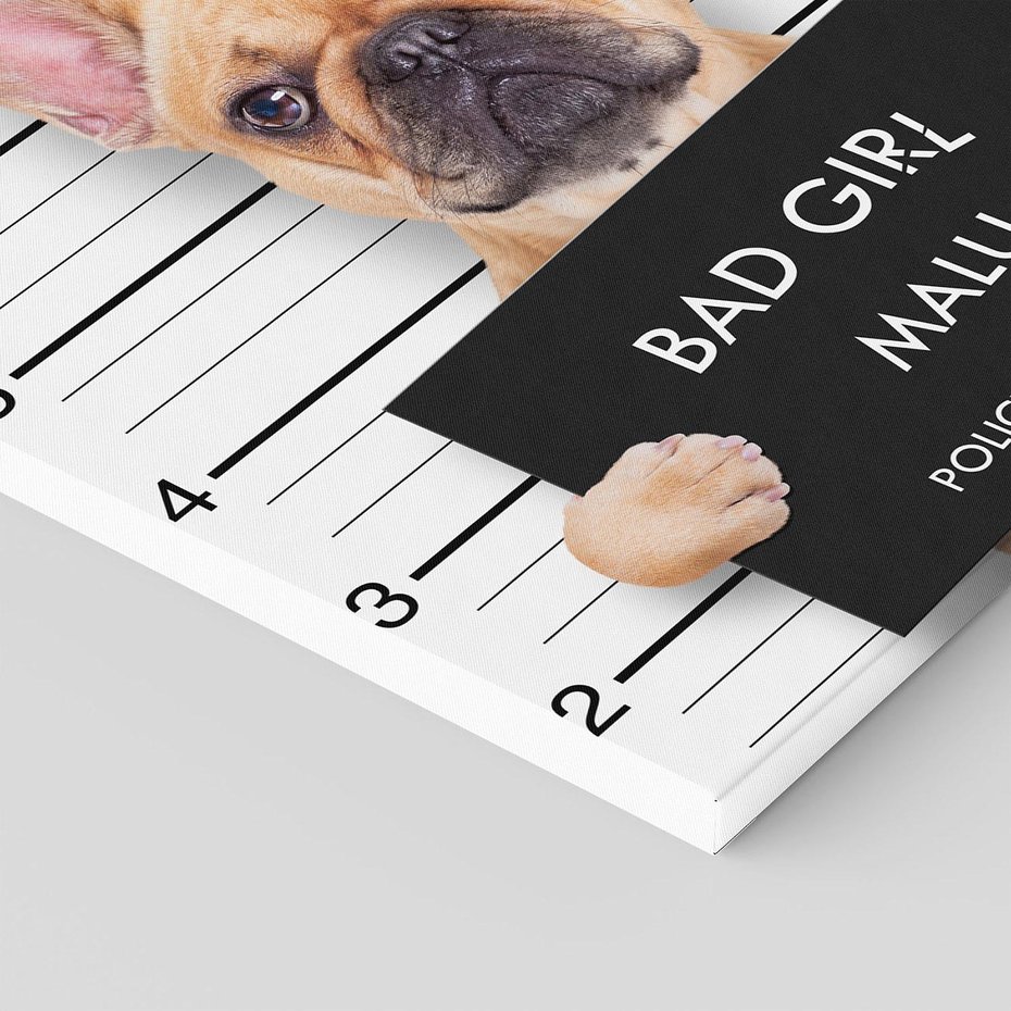 Obraz na płótnie 50x50 - przyjaciel na zawsze - pies, piesek